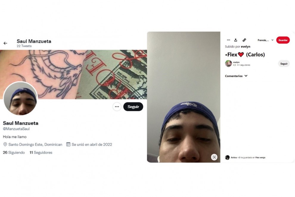 Captura de perfil de una cuenta falsa y de donde sacó la imagen.